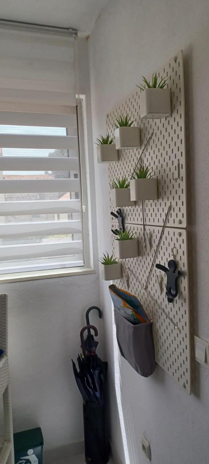 Apartments Sonja سبليت المظهر الخارجي الصورة